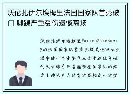 沃伦扎伊尔埃梅里法国国家队首秀破门 脚踝严重受伤遗憾离场